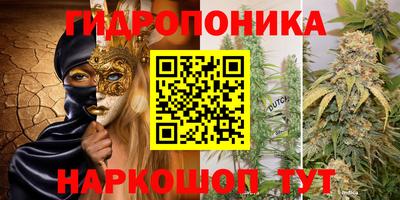индика Обь