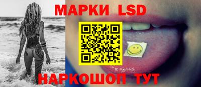 индика Обь