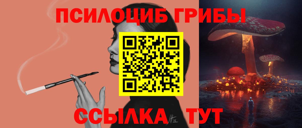 Галлюциногенные грибы Psilocybine cubensis  Вход с VPN  цены   Славянск-на-Кубани  Галлюциногенные грибы Psilocybe 